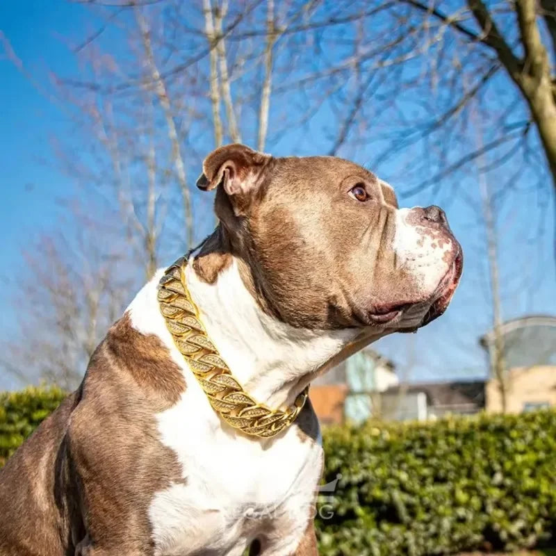 DripMyDawg Diamond Cuban Link Collar