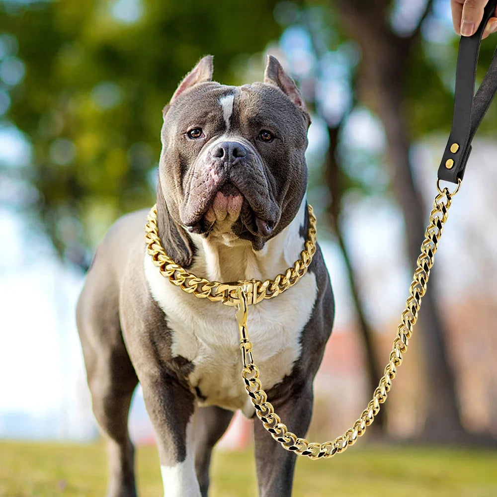 DripMyDawg Cuban Link Lead