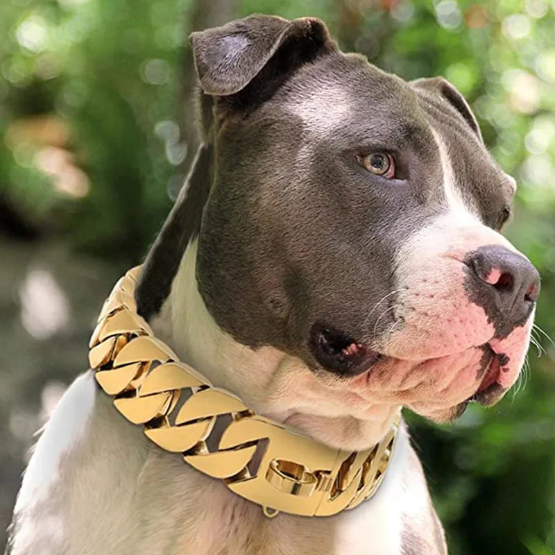 DripMyDawg Multi-Color Cuban Link Collar